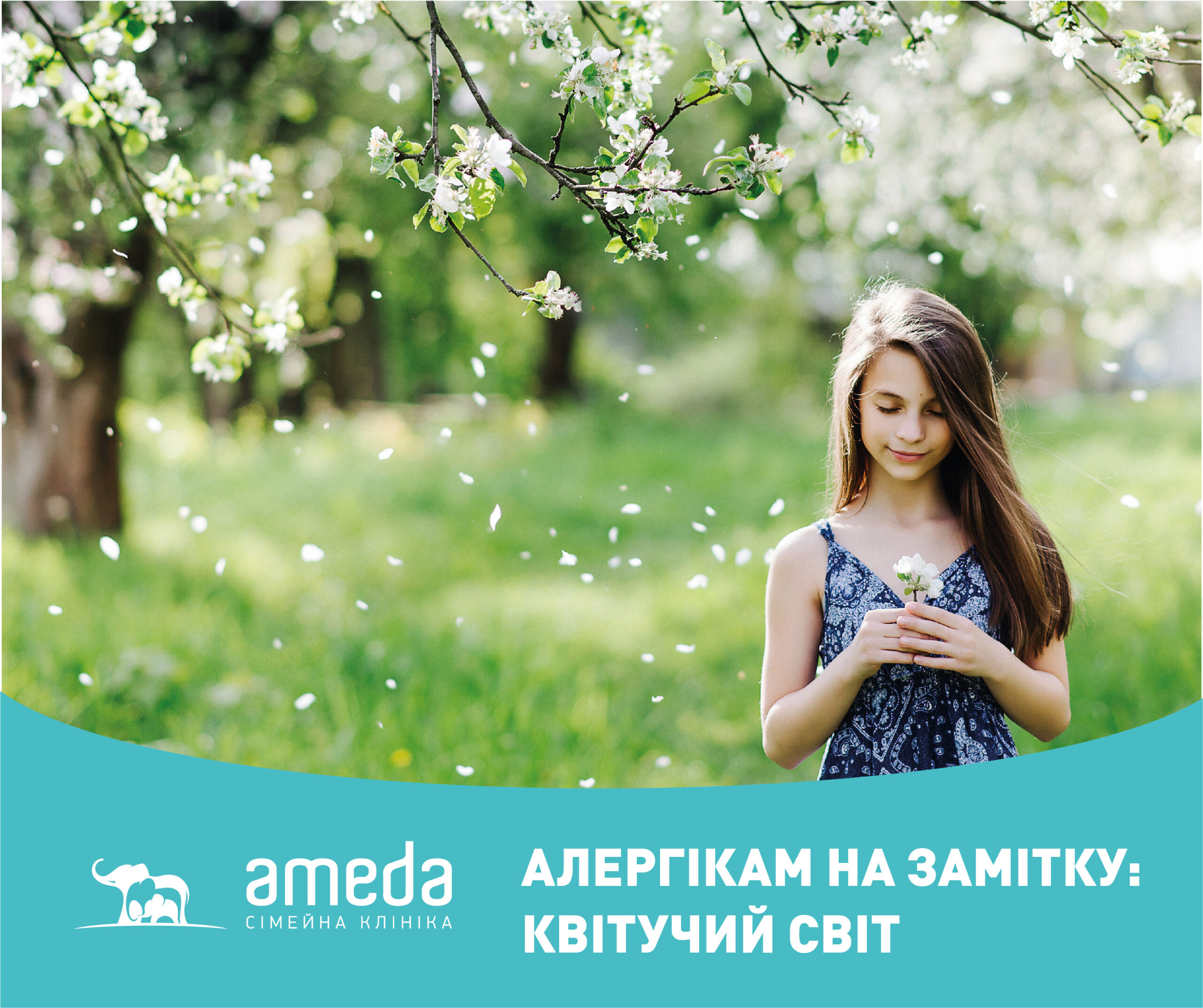 Ameda