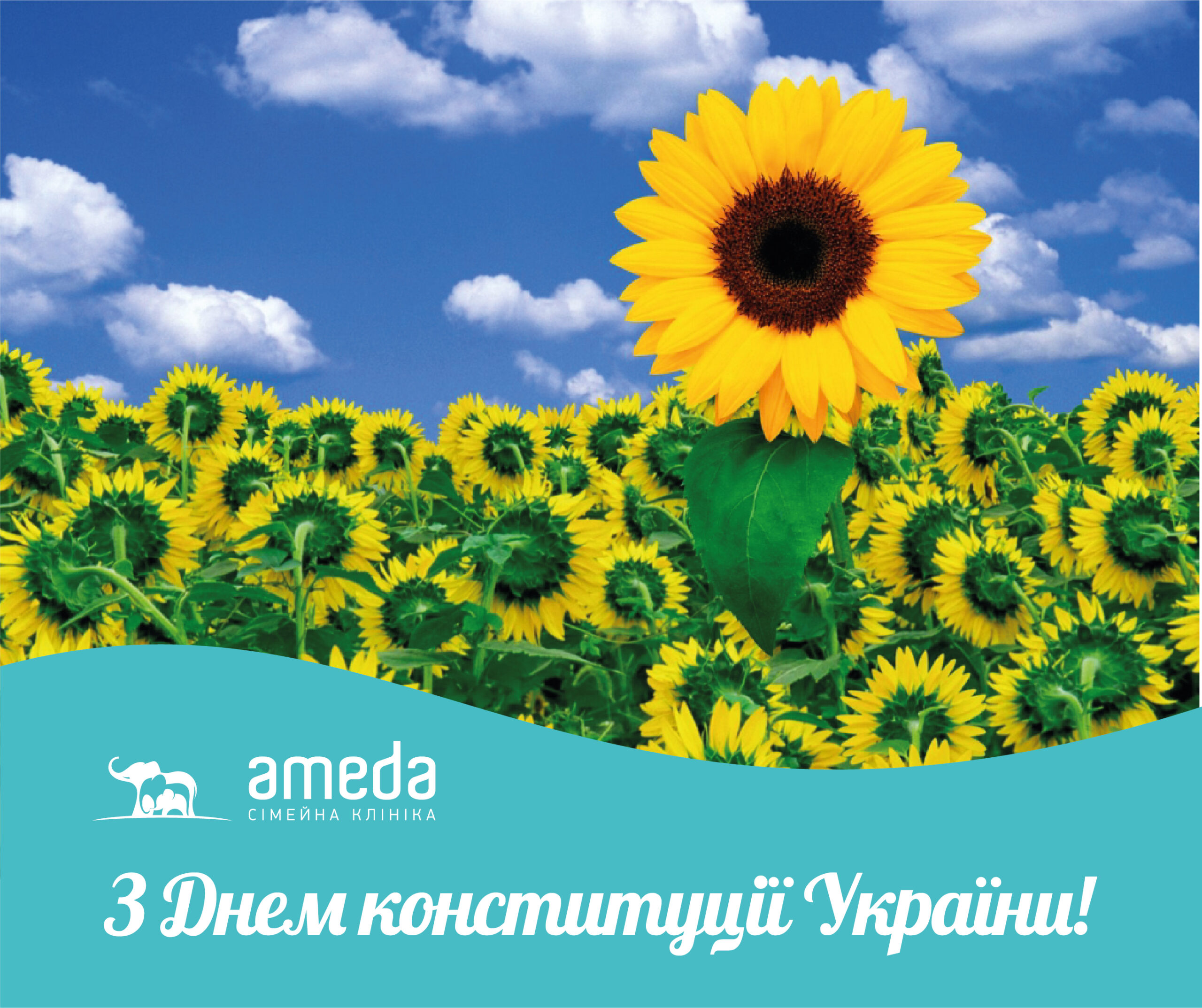 Ameda