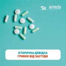 Ameda